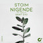 Nigende - Saint Evo Remix