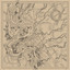 Dendroid