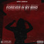 Forever In My Mind cover