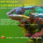 Bob Baldwin - Chameleon 3000 - Qmusica.com