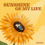 Sunshine of My Life cover