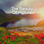 The Beauty of Nature cover