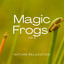 1 Magic Frogs Vol. 2 cover