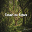Tonari no Totoro (From "My Neighbor Totoro")
