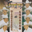 Oscar Chavez, Hermanos Rincon - Andándome yo paseando