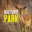 Nature Park cover