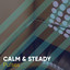# 1 A 2019 Album: Calm & Steady Pulses cover