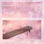 Hide And Seek cover