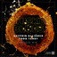 Shyfrin Alliance - Whiskey Blues (Todd Terry's Future Mix)