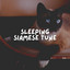 Sleeping Siamese Tune cover