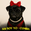 YO SOY ASI (FEAT LULU PUG MUSIC) 2025 - CAZZU