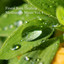 Finest Rain Healing Meditation Music Vol. 1 cover