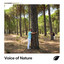 Voice of Nature cover