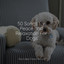50 Songs for Peace and Relaxation For Dogs cover