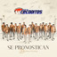 Se Pronostican Borracheras