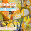 Kiko Navarro feat.Koki — Acidez cover art