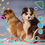 Puppy Training - Background Music cover