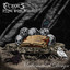 Echoes of a Dying World - Mathematical Design