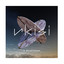 NKISI - V
