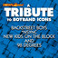 A Tribute to Boyband Icons Backstreet Boys, *nsync, New Kids On the Block and 98 Degrees cover