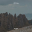 Grizzly