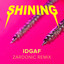 IDGAF - Zardonic Remix artwork