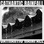 Cathartic Rainfall cover