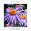 With You - Gowzer Extended Remix