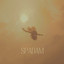 SPADAM cover