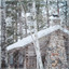 Echoes in the Snow cover