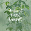 Ambient Forest Rainfall cover