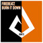 Burn It Down - Extended Mix