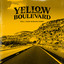 Roll Your Window Down cover