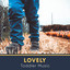 # 1 A 2019 Album: Lovely Toddler Music cover