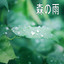 森の雨、パート20 cover