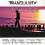 Miss You Nights cover