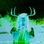heavy wild - freeze2death