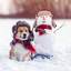 building a snowman kinda vibe cover