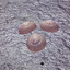 Unknown Title cover