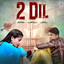 2 Dil cover