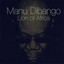 Lion of Africa cover