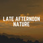 Late Afternoon Nature cover