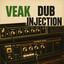 Dub Injection artwork