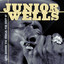 Junior Wells - Help Me (Live)
