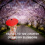 Travel to the Country of Cherry Blossoms (Japanese Music, Relaxation, Meditation, Relief, Peace) cover