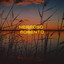Mi Jesús Amado cover