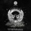 Ready to Fly feat. R O N A - Navar Remix