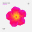 Lights - Extended Mix