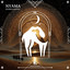 Nyama artwork
