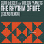 The Rhythm of Life - KEENE Remix